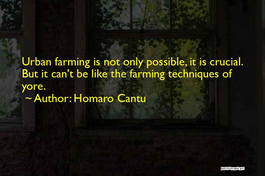 Homaro Cantu Quotes 792640