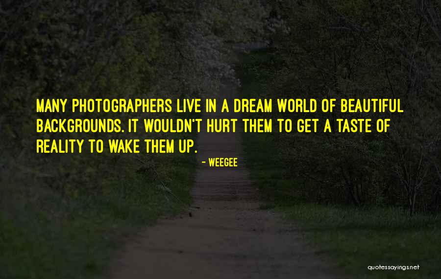 Homayoun Farzinkhou Quotes By Weegee Homayoun Farzinkhou Quotes By Weegee