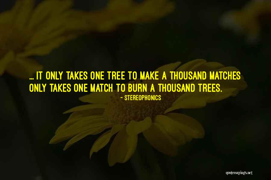 Hombeek Quotes By Stereophonics Hombeek Quotes By Stereophonics