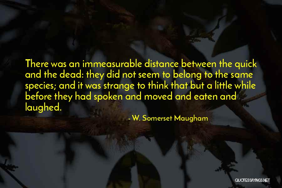 Hombrecito Haciendo Quotes By W. Somerset Maugham Hombrecito Haciendo Quotes By W. Somerset Maugham