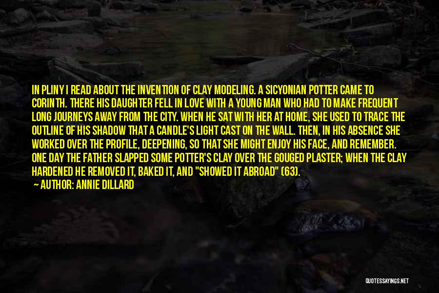 Home And Away Love Quotes By Annie Dillard