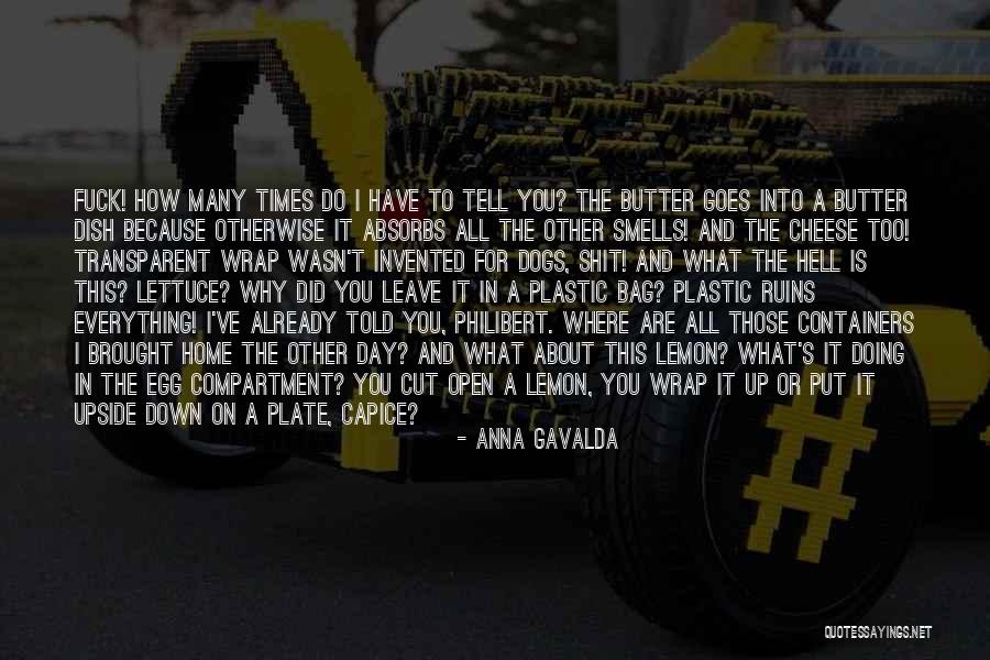 Home And Dogs Quotes By Anna Gavalda Home And Dogs Quotes By Anna Gavalda