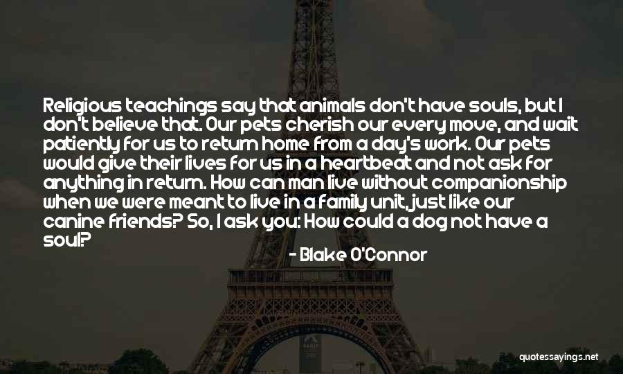 Home And Dogs Quotes By Blake O'Connor Home And Dogs Quotes By Blake O'Connor
