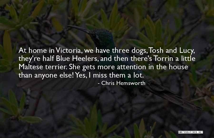 Home And Dogs Quotes By Chris Hemsworth Home And Dogs Quotes By Chris Hemsworth