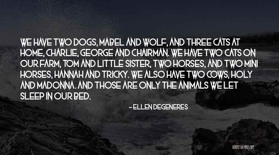 Home And Dogs Quotes By Ellen DeGeneres Home And Dogs Quotes By Ellen DeGeneres