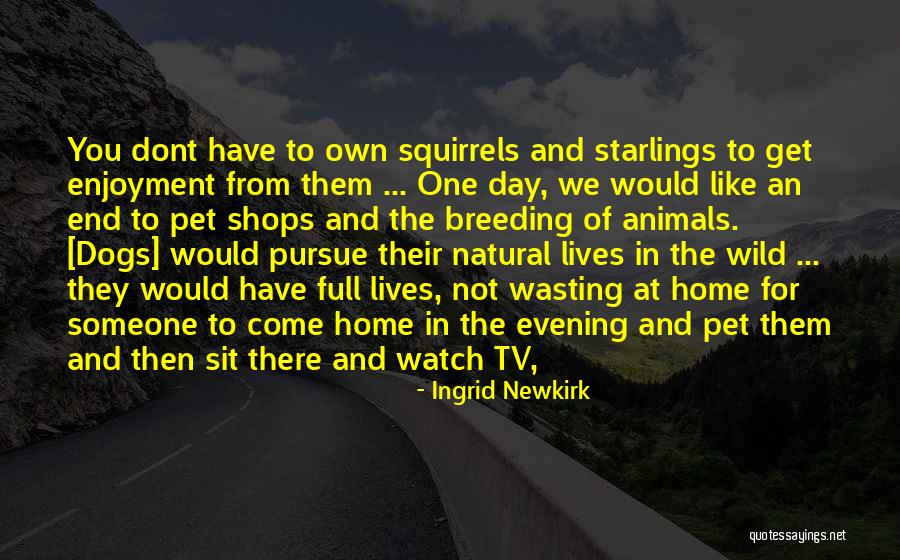 Home And Dogs Quotes By Ingrid Newkirk Home And Dogs Quotes By Ingrid Newkirk