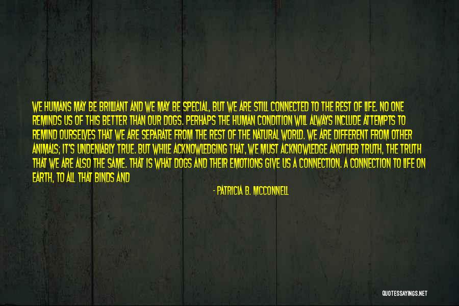 Home And Dogs Quotes By Patricia B. McConnell Home And Dogs Quotes By Patricia B. McConnell