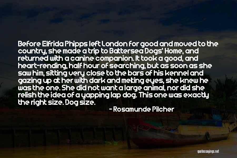 Home And Dogs Quotes By Rosamunde Pilcher Home And Dogs Quotes By Rosamunde Pilcher