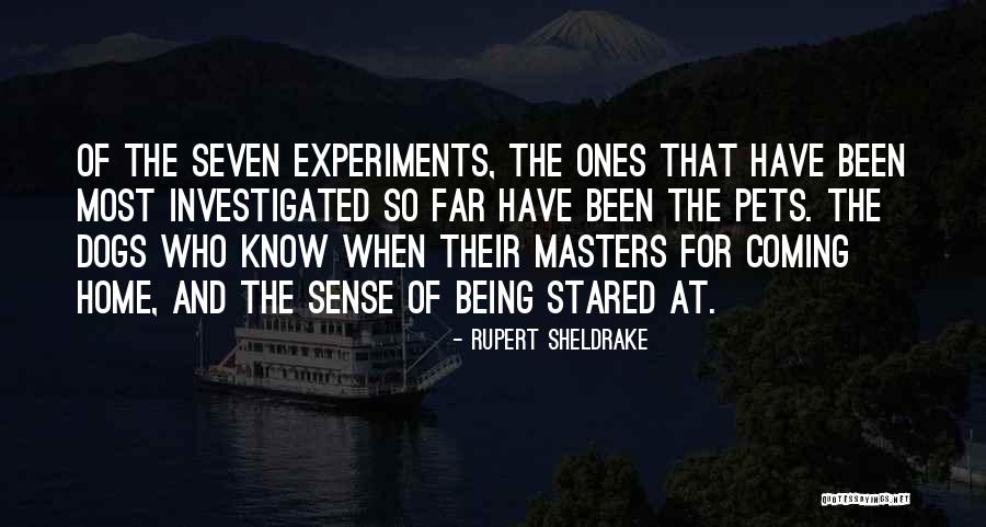 Home And Dogs Quotes By Rupert Sheldrake Home And Dogs Quotes By Rupert Sheldrake