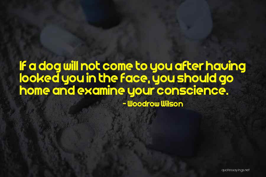 Home And Dogs Quotes By Woodrow Wilson Home And Dogs Quotes By Woodrow Wilson