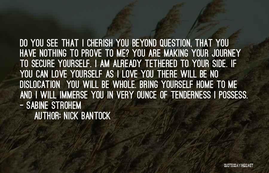 Home And Journey Quotes By Nick Bantock