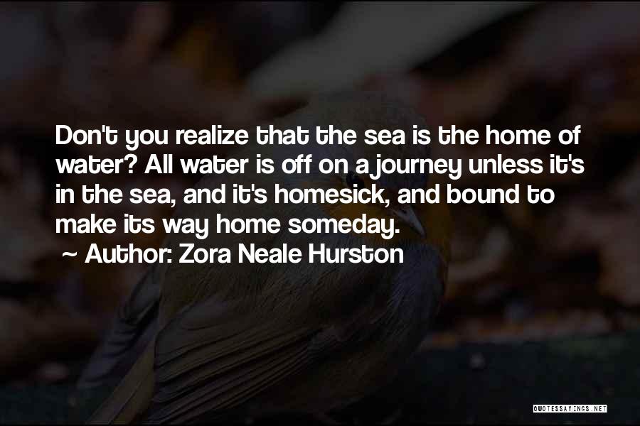 Home And Journey Quotes By Zora Neale Hurston