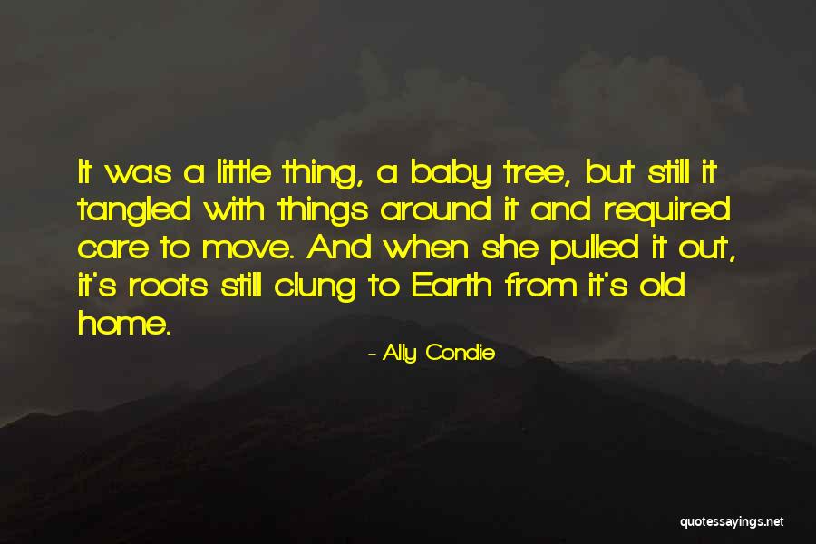 Home And Roots Quotes By Ally Condie Home And Roots Quotes By Ally Condie