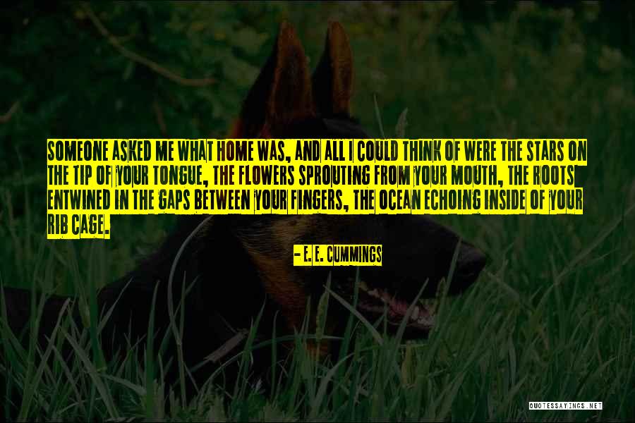 Home And Roots Quotes By E. E. Cummings Home And Roots Quotes By E. E. Cummings