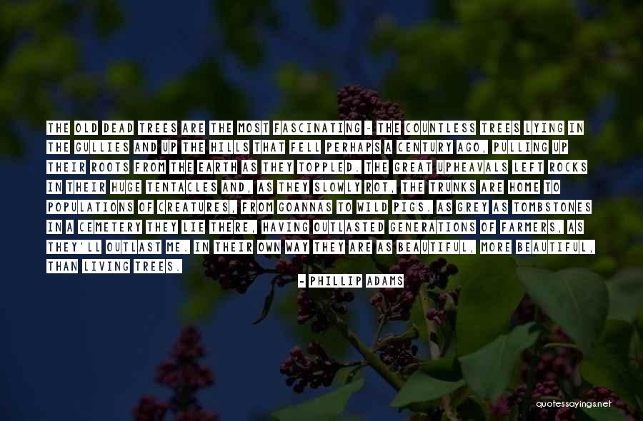 Home And Roots Quotes By Phillip Adams Home And Roots Quotes By Phillip Adams