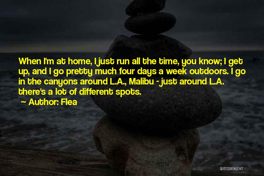 Home And Time Quotes By Flea
