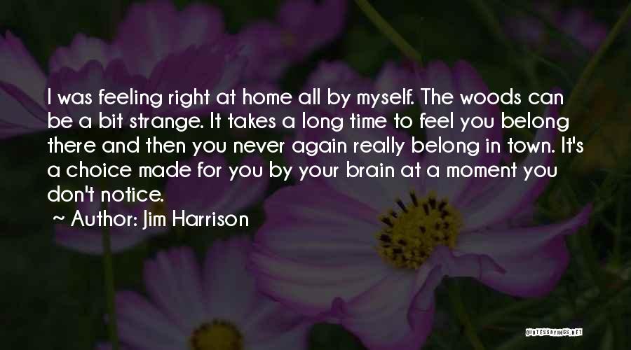 Home And Time Quotes By Jim Harrison