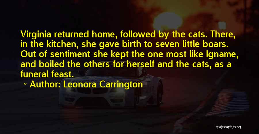 Home Birth Quotes By Leonora Carrington