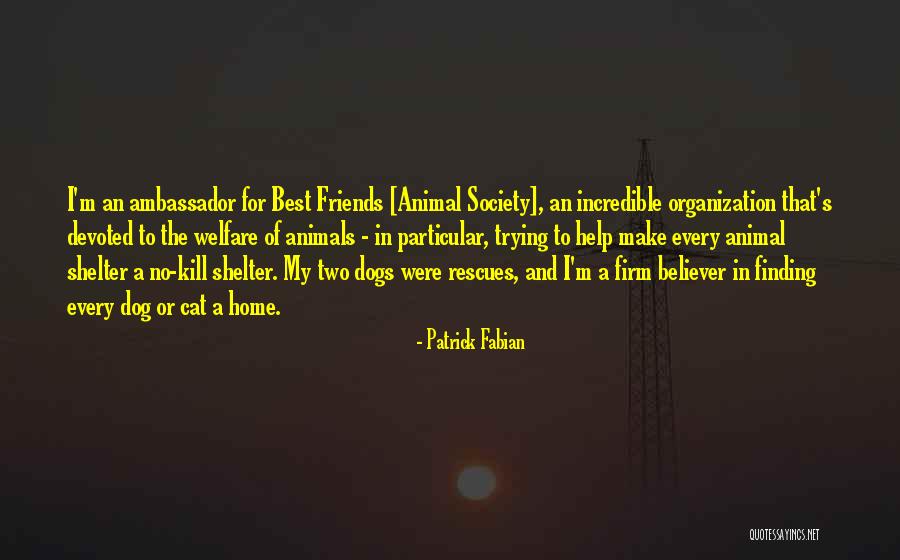 Home Cat Quotes By Patrick Fabian Home Cat Quotes By Patrick Fabian