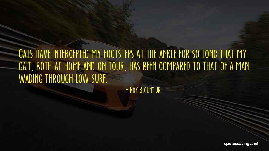 Home Cat Quotes By Roy Blount Jr. Home Cat Quotes By Roy Blount Jr.