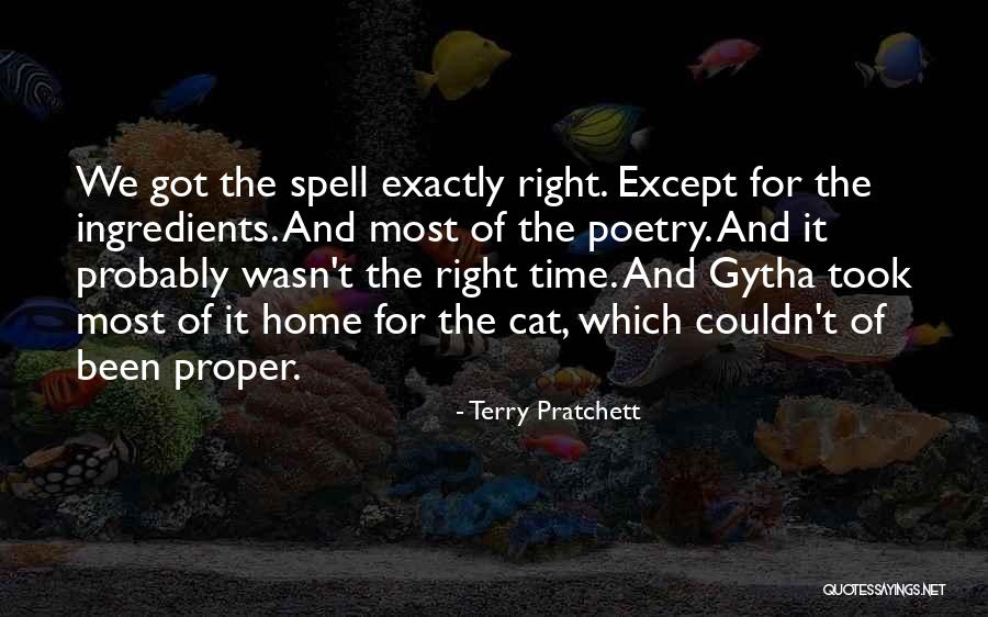 Home Cat Quotes By Terry Pratchett Home Cat Quotes By Terry Pratchett