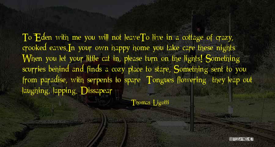 Home Cat Quotes By Thomas Ligotti Home Cat Quotes By Thomas Ligotti
