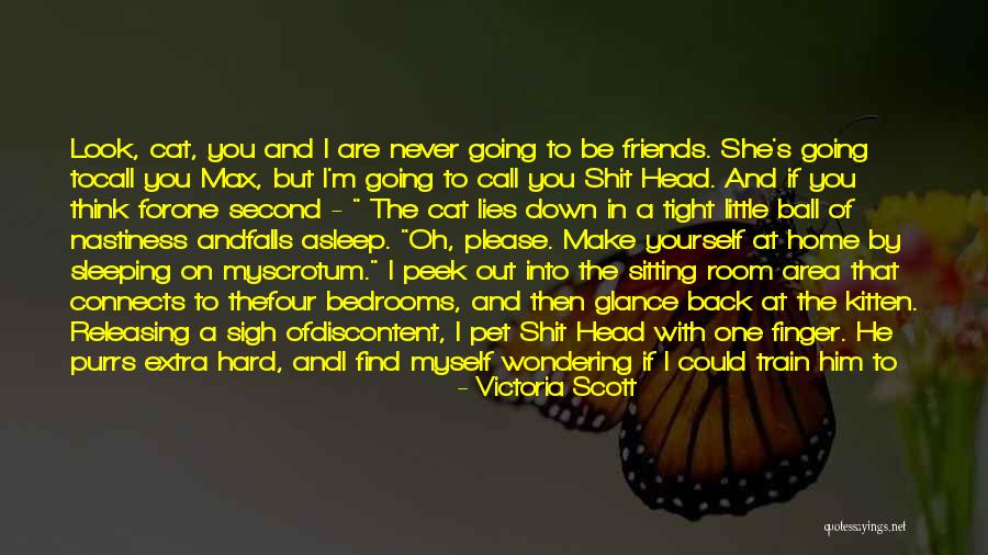Home Cat Quotes By Victoria Scott Home Cat Quotes By Victoria Scott