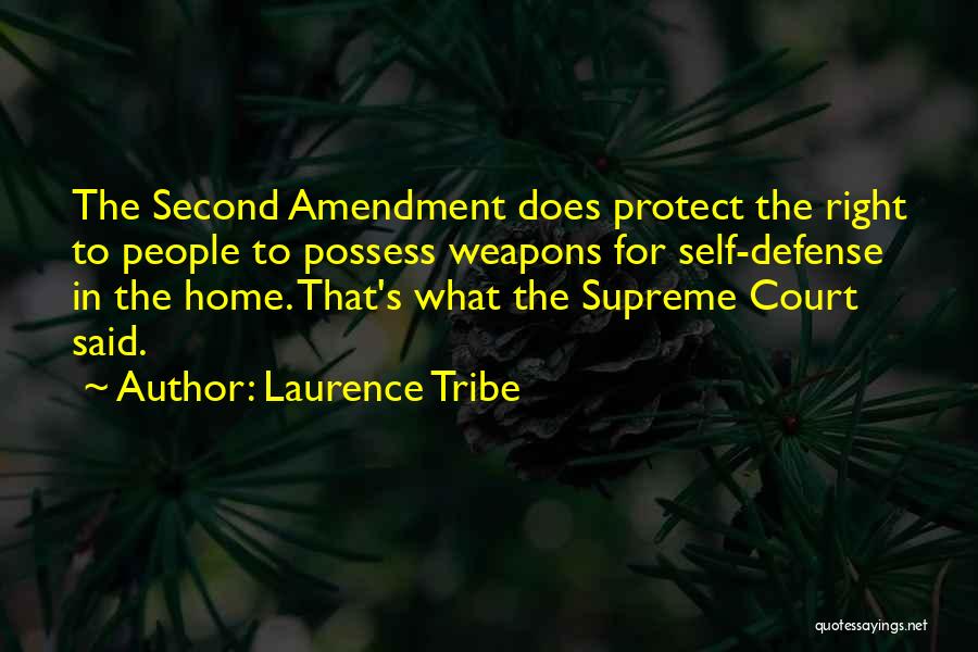 Home Court Quotes By Laurence Tribe