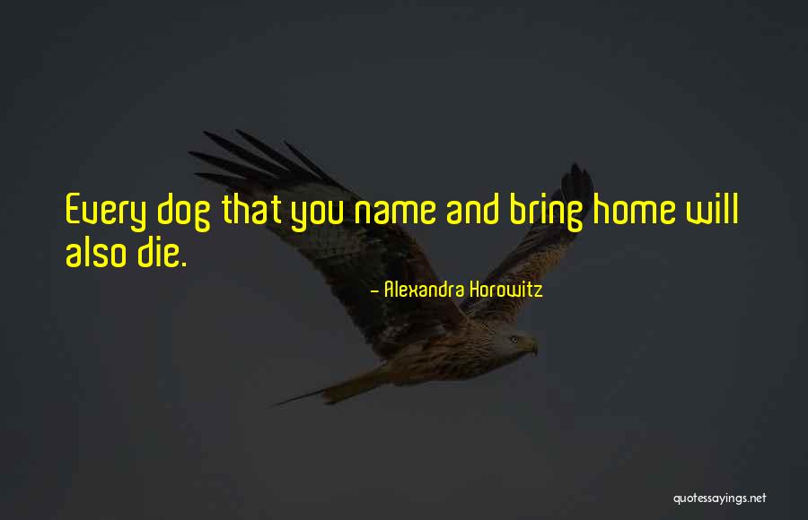 Home Dog Quotes By Alexandra Horowitz Home Dog Quotes By Alexandra Horowitz