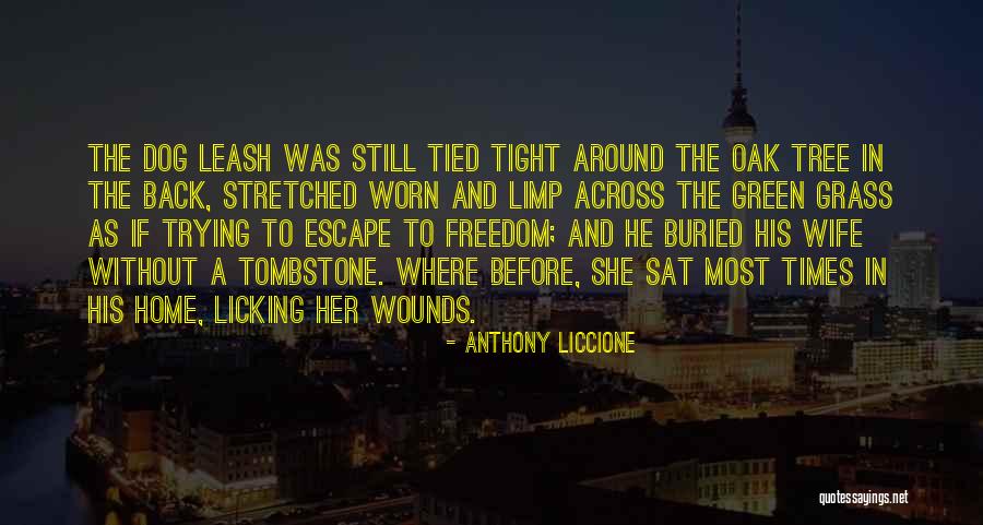 Home Dog Quotes By Anthony Liccione Home Dog Quotes By Anthony Liccione