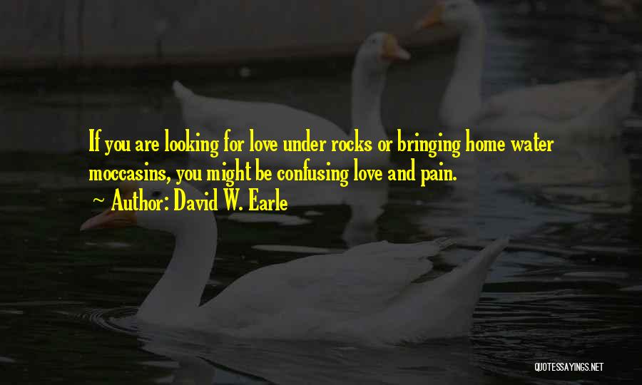 Home Family Love Quotes By David W. Earle