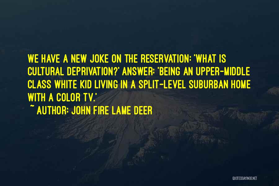 Home Fire Quotes By John Fire Lame Deer