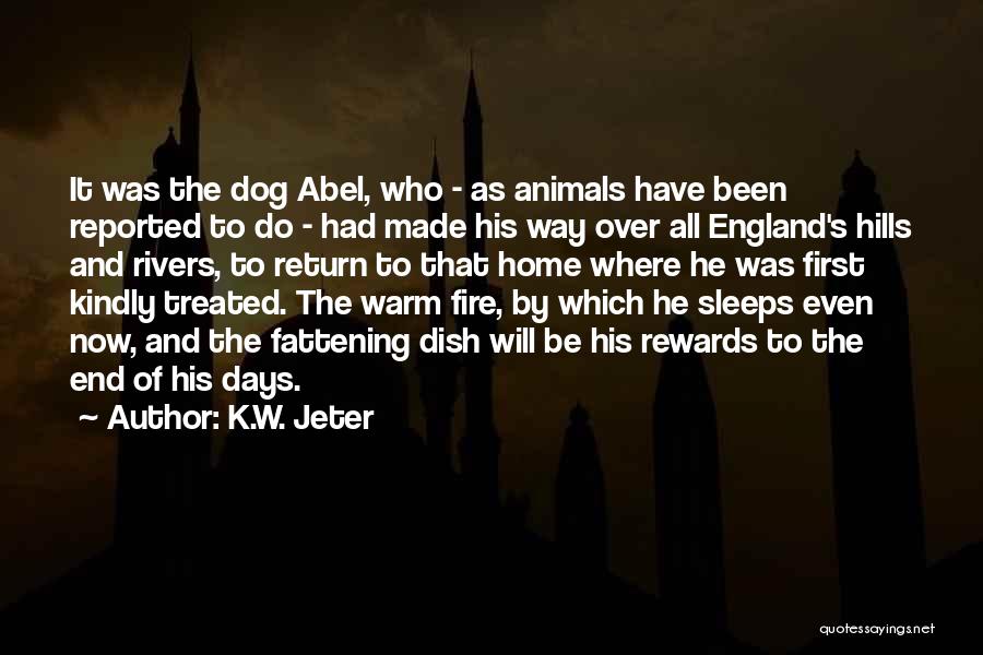 Home Fire Quotes By K.W. Jeter