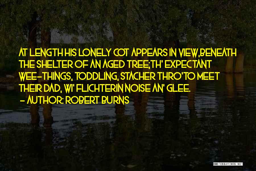 Home For The Aged Quotes By Robert Burns