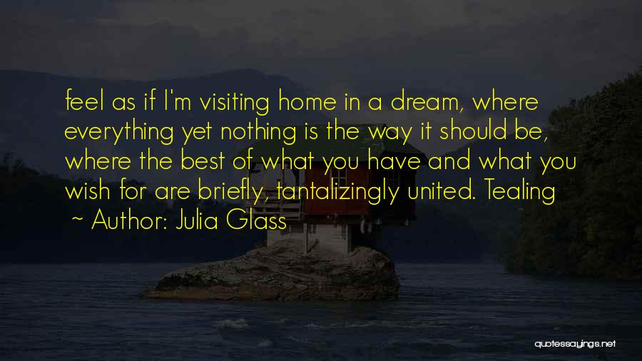 Home Is The Best Quotes By Julia Glass