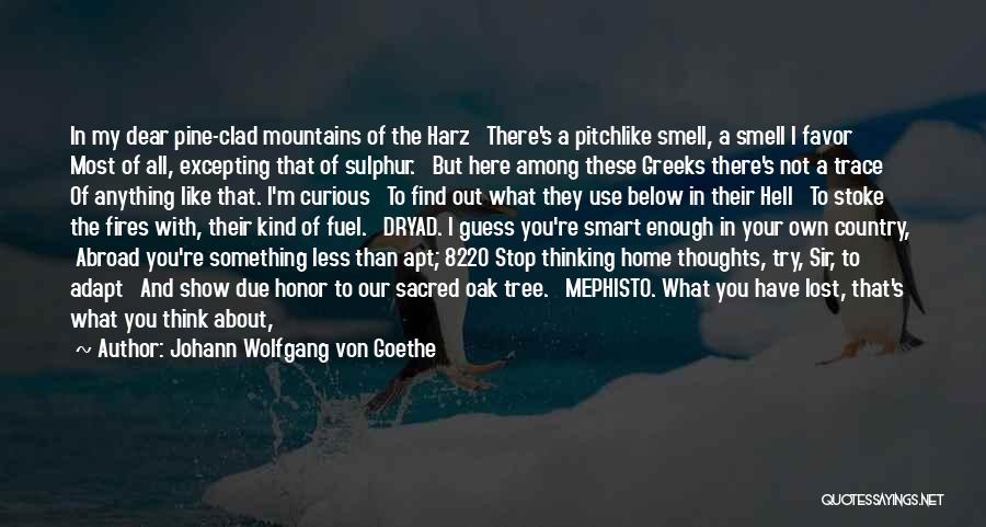 Home Of Our Own Quotes By Johann Wolfgang Von Goethe