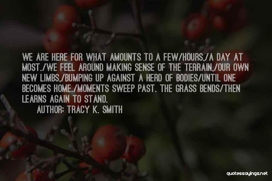 Home Of Our Own Quotes By Tracy K. Smith