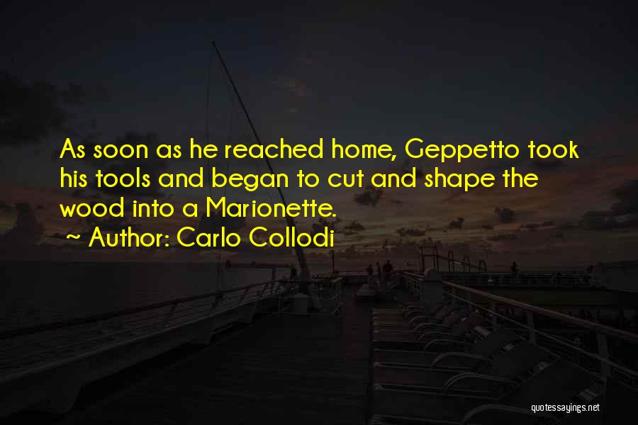 Home Reached Quotes By Carlo Collodi