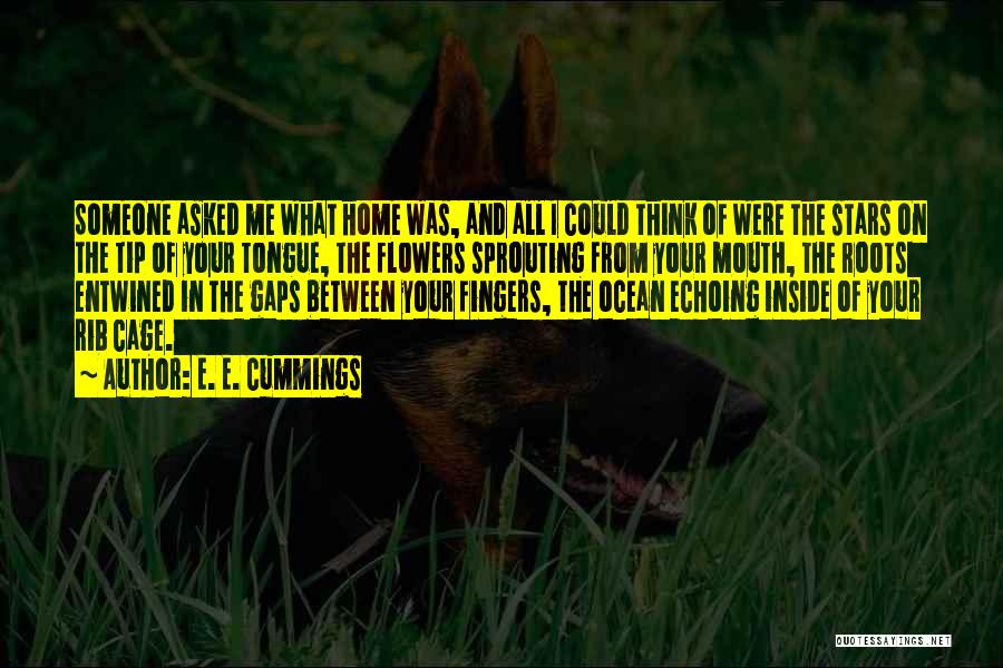 Home Roots Quotes By E. E. Cummings