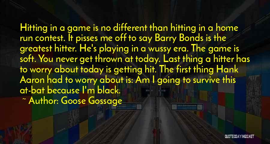 Home Run Hitter Quotes By Goose Gossage