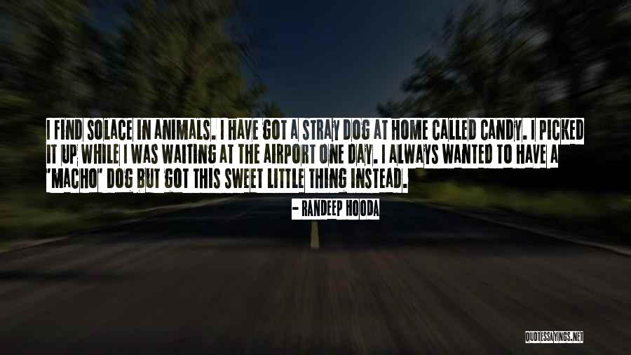 Home Solace Quotes By Randeep Hooda Home Solace Quotes By Randeep Hooda