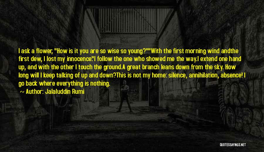 Home Wise Quotes By Jalaluddin Rumi