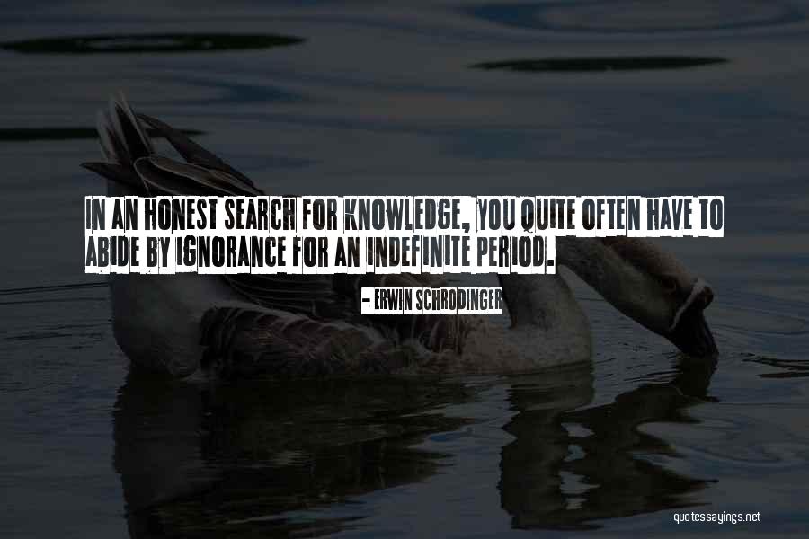 Home Wrecking Quotes By Erwin Schrodinger Home Wrecking Quotes By Erwin Schrodinger