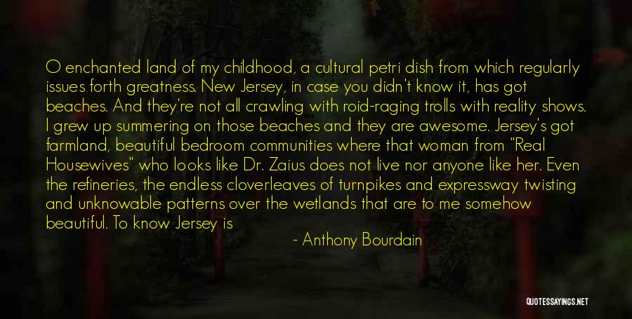 Home You Grew Up In Quotes By Anthony Bourdain