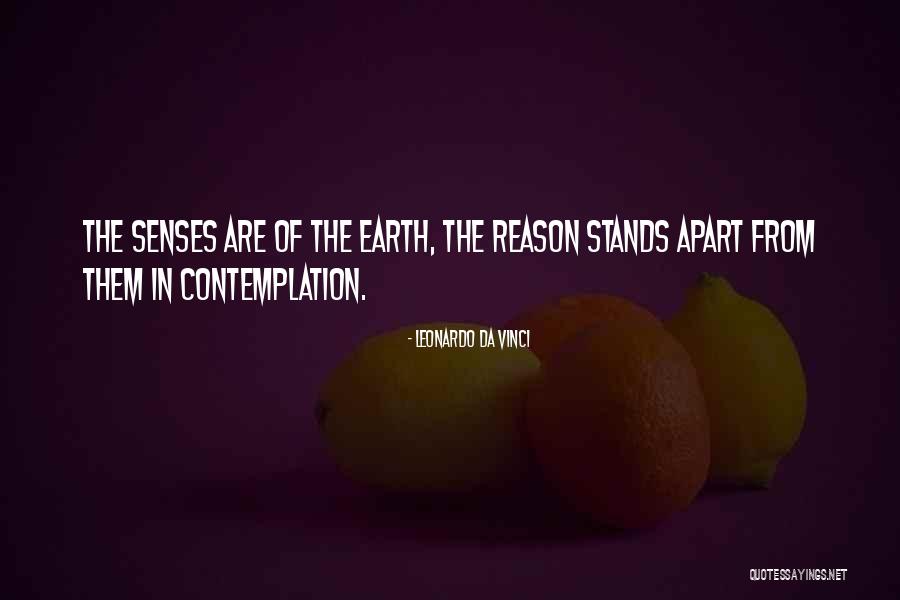 Homegrown Fruits Quotes By Leonardo Da Vinci Homegrown Fruits Quotes By Leonardo Da Vinci