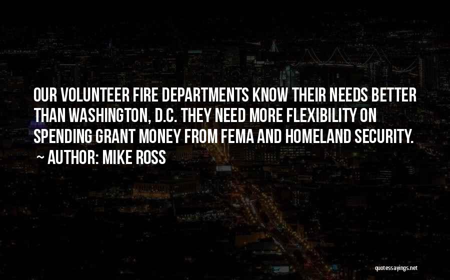 Homeland Security Quotes By Mike Ross