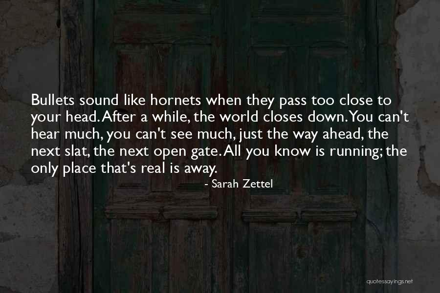 Homeless Pets Quotes By Sarah Zettel Homeless Pets Quotes By Sarah Zettel