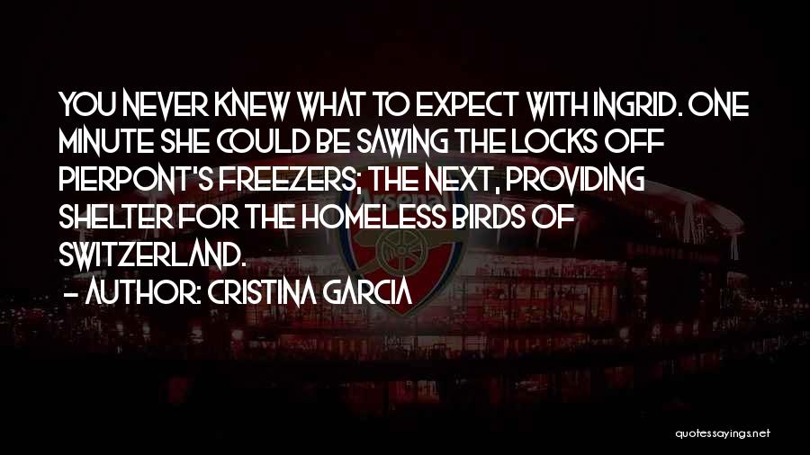 Homeless Shelter Quotes By Cristina Garcia