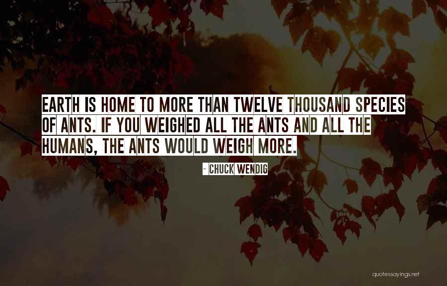 Homelike Quotes By Chuck Wendig Homelike Quotes By Chuck Wendig