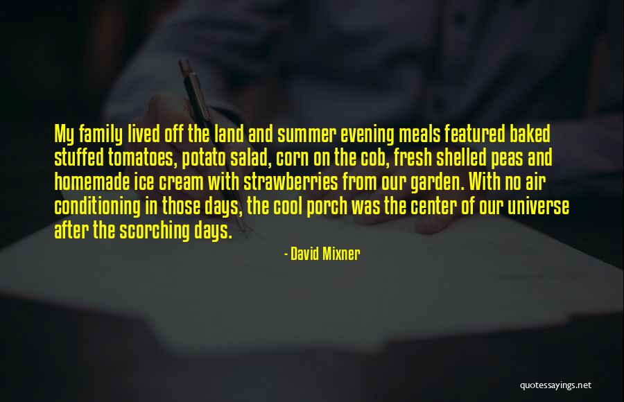 Homemade Food Quotes By David Mixner